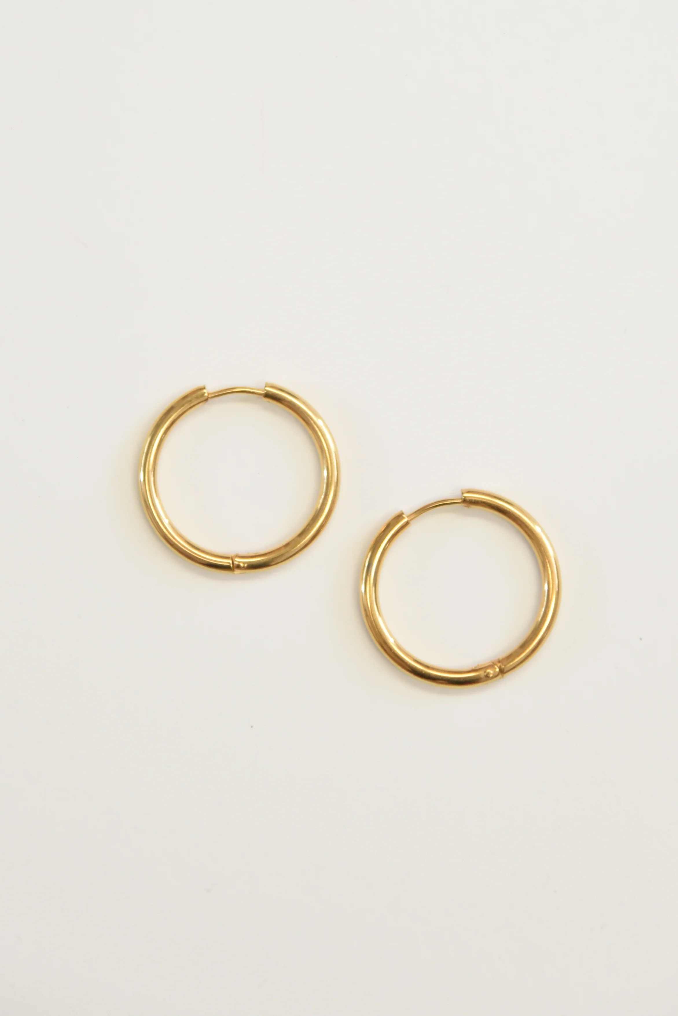 The Perfect Hoop - Image 2